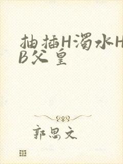 抽插H浊水H嫩B父皇