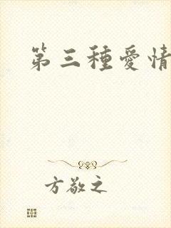 第三种爱情续集