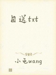 目送txt