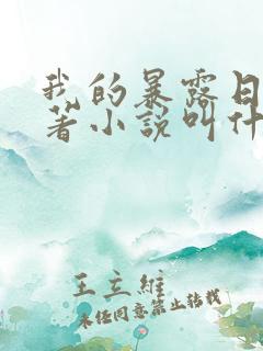 我的暴露日记原著小说叫什么