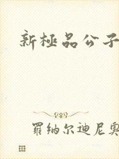 新极品公子