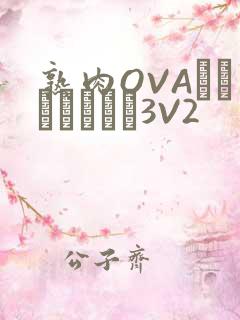 熟肉OVAちゃんはしたい3V2