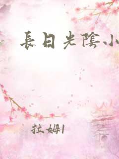 长日光阴小说
