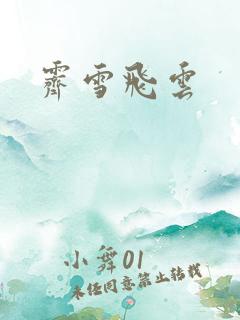 霁雪飞云