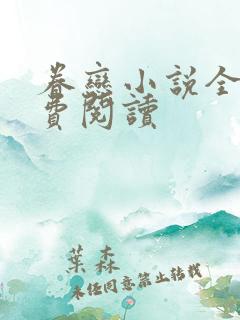 眷恋小说全文免费阅读