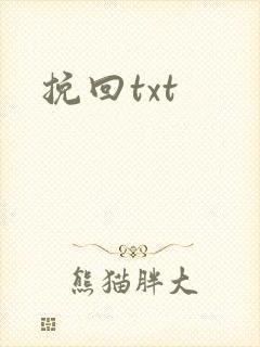 挽回txt