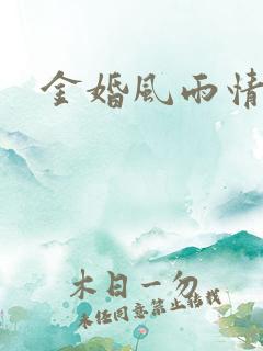 金婚风雨情下载