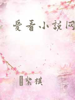 爱看小说网