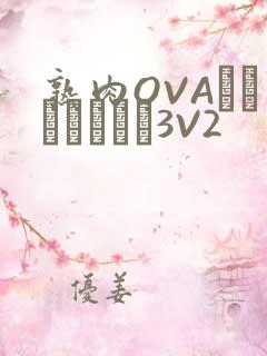熟肉OVAちゃんはしたい3V2