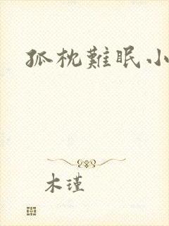 孤枕难眠小说