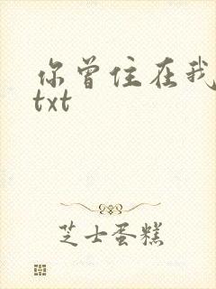 你曾住在我心上txt