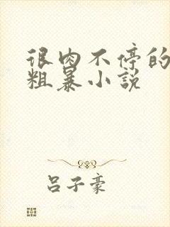 很肉不停的做很粗暴小说