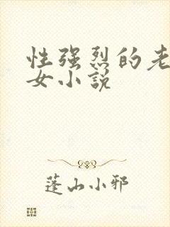 性强烈的老年妇女小说