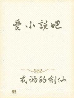爱小说吧
