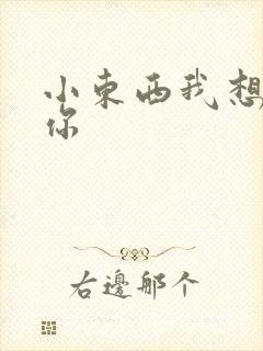 小东西我想弄坏你