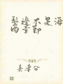 鬓边不是海棠红肉章节