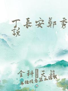 丁长安郑秀兰小说