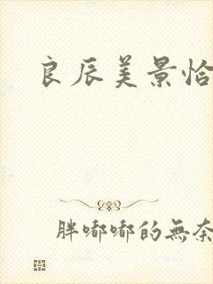 良辰美景恰似你