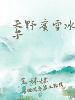 禾野蜜雪冰城本子