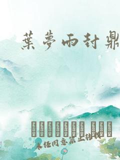 叶梦雨封鼎小说