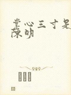 掌心三寸是人间陈明