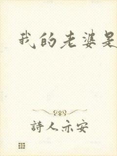 我的老婆是卧底