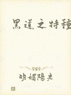 黑道之特种兵王