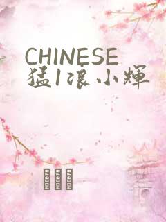 CHINESE猛1浪小辉