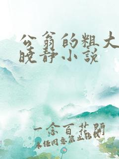 公翁的粗大放进晓静小说