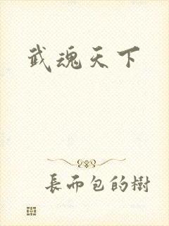 武魂天下