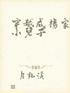 穿越成杨家将最小儿子