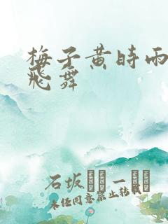 梅子黄时雨流光飞舞