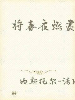 将春夜燃尽