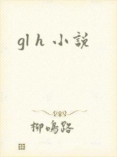 gl h 小说