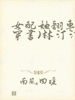 女配她翻车了(穿书)林汀汀