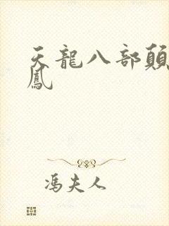 天龙八部颠龙鸾凤
