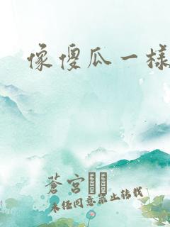 像傻瓜一样去爱