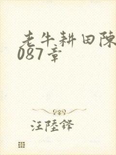 老牛耕田陈雪1087章