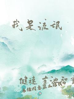 我是流氓