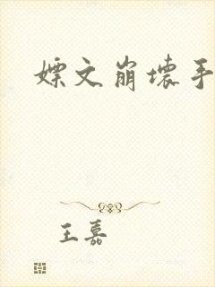 嫖文崩坏手册
