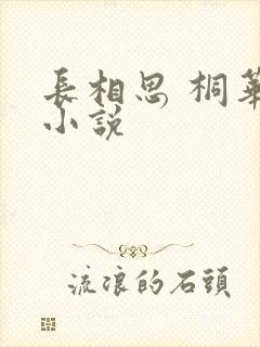 长相思 桐华 小说