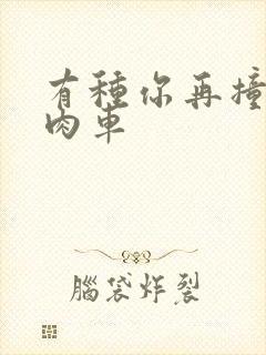 有种你再撞一下肉车