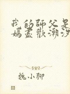 我的师父是王语嫣尽欢潮汐