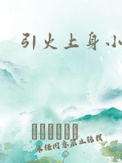 引火上身小说