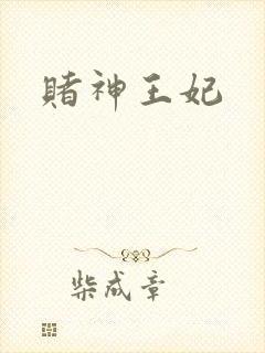 赌神王妃