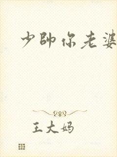 少帅你老婆