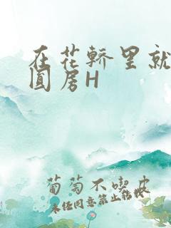 在花轿里就开始圆房H