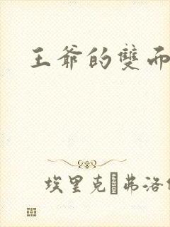 王爷的双面王妃