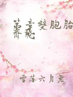 第章双胞胎姐妹齐飞