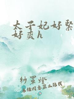 太子妃好紧皇上好爽h